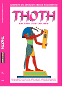 COMO PENSAM OS AFRODESCENTES.pdf